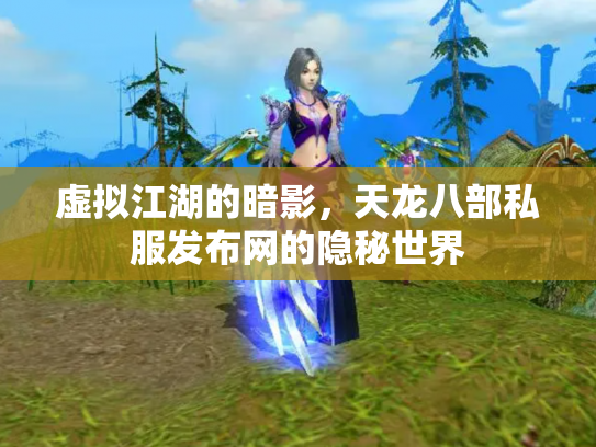虚拟江湖的暗影，天龙八部私服发布网的隐秘世界