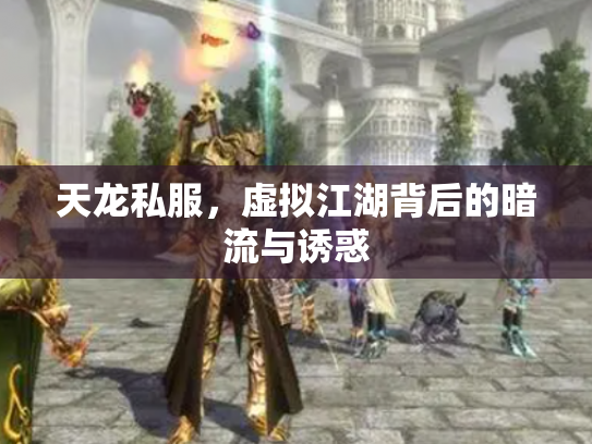 天龙私服，虚拟江湖背后的暗流与诱惑
