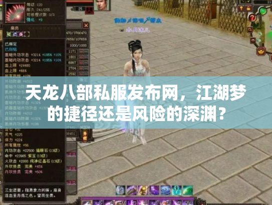 天龙八部私服发布网，江湖梦的捷径还是风险的深渊？