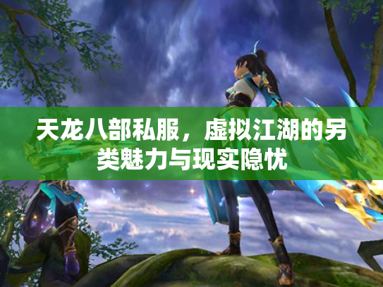 天龙八部私服，虚拟江湖的另类魅力与现实隐忧