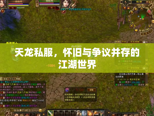 天龙私服，怀旧与争议并存的江湖世界