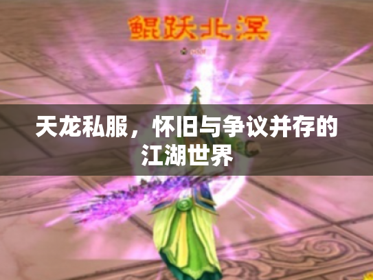 天龙私服，怀旧与争议并存的江湖世界