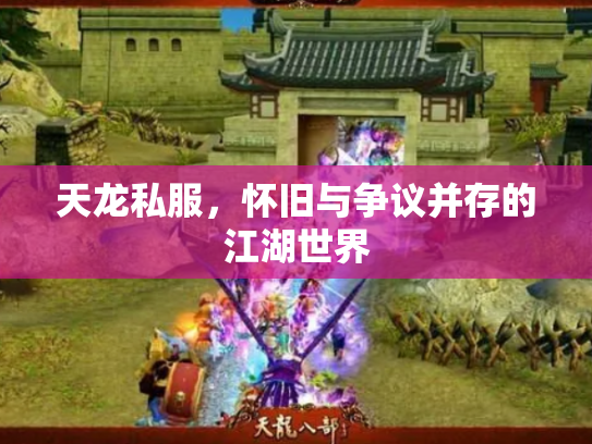 天龙私服，怀旧与争议并存的江湖世界