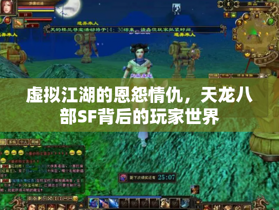 虚拟江湖的恩怨情仇，天龙八部SF背后的玩家世界