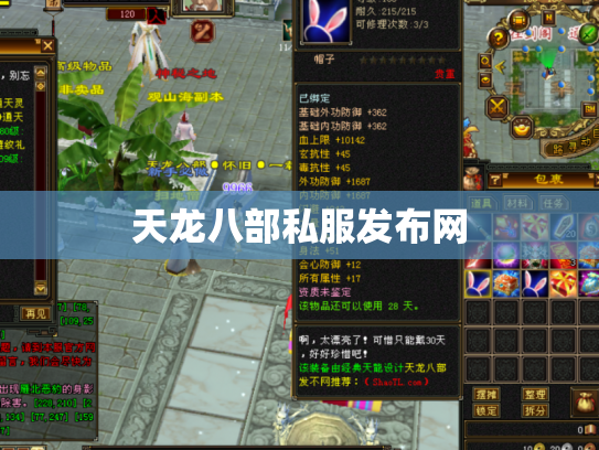 天龙八部私服发布网