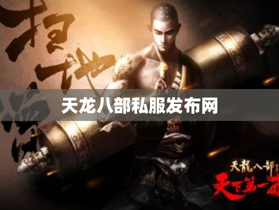 天龙八部私服发布网