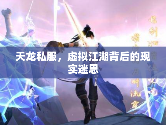 天龙私服，虚拟江湖背后的现实迷思