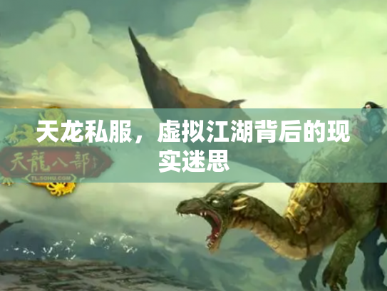天龙私服，虚拟江湖背后的现实迷思