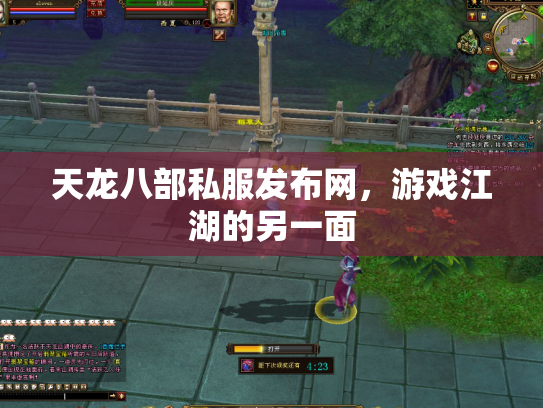 天龙八部私服发布网，游戏江湖的另一面