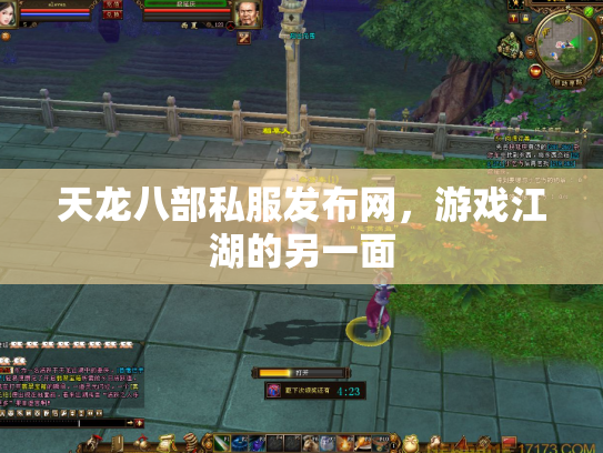 天龙八部私服发布网，游戏江湖的另一面
