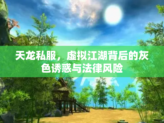 天龙私服，虚拟江湖背后的灰色诱惑与法律风险