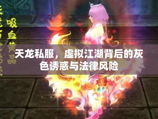 天龙私服，虚拟江湖背后的灰色诱惑与法律风险