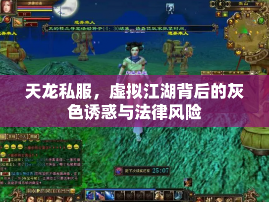 天龙私服，虚拟江湖背后的灰色诱惑与法律风险