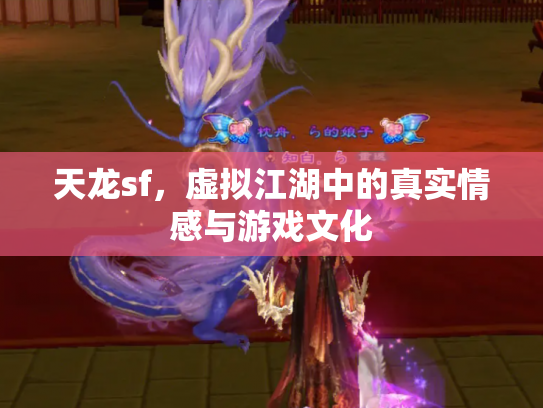 天龙sf，虚拟江湖中的真实情感与游戏文化