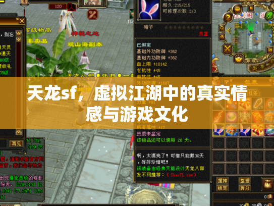 天龙sf，虚拟江湖中的真实情感与游戏文化