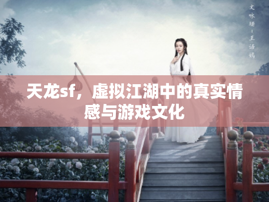 天龙sf，虚拟江湖中的真实情感与游戏文化