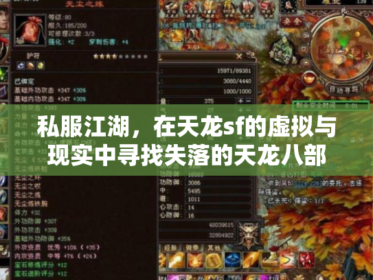 私服江湖，在天龙sf的虚拟与现实中寻找失落的天龙八部