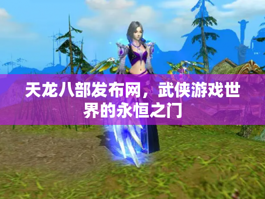 天龙八部发布网，武侠游戏世界的永恒之门