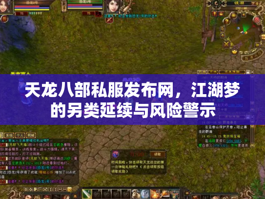 天龙八部私服发布网，江湖梦的另类延续与风险警示