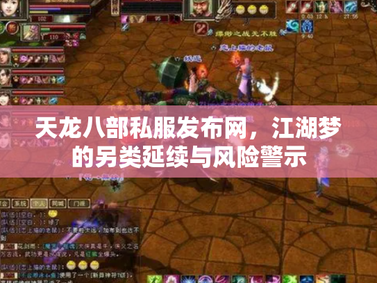 天龙八部私服发布网，江湖梦的另类延续与风险警示