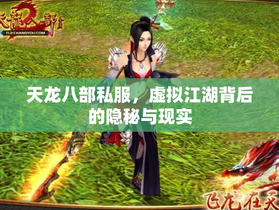 天龙八部私服，虚拟江湖背后的隐秘与现实