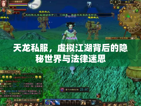 天龙私服，虚拟江湖背后的隐秘世界与法律迷思