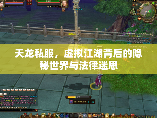 天龙私服，虚拟江湖背后的隐秘世界与法律迷思