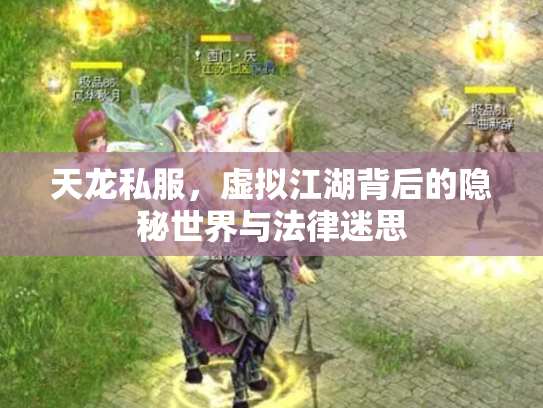 天龙私服，虚拟江湖背后的隐秘世界与法律迷思
