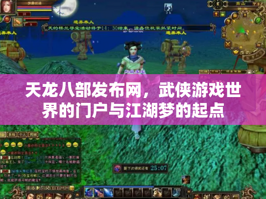 天龙八部发布网，武侠游戏世界的门户与江湖梦的起点