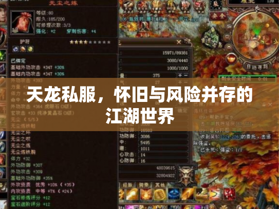天龙私服，怀旧与风险并存的江湖世界