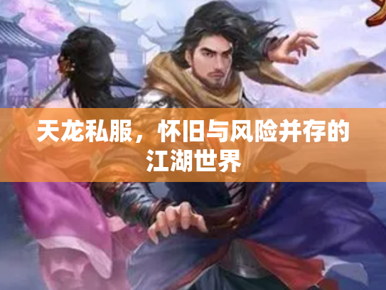 天龙私服，怀旧与风险并存的江湖世界
