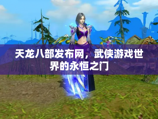 天龙八部发布网，武侠游戏世界的永恒之门