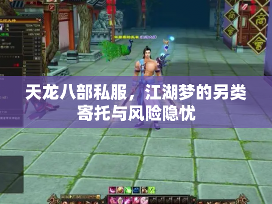 天龙八部私服，江湖梦的另类寄托与风险隐忧