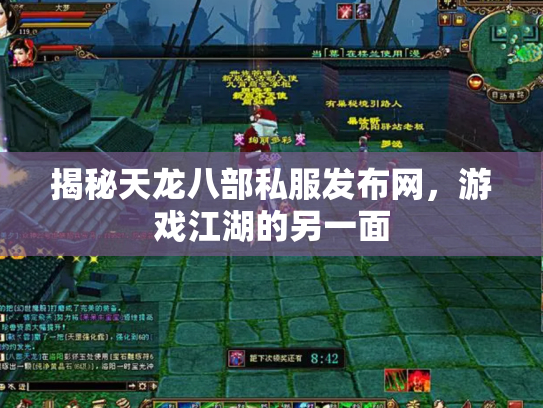 揭秘天龙八部私服发布网，游戏江湖的另一面