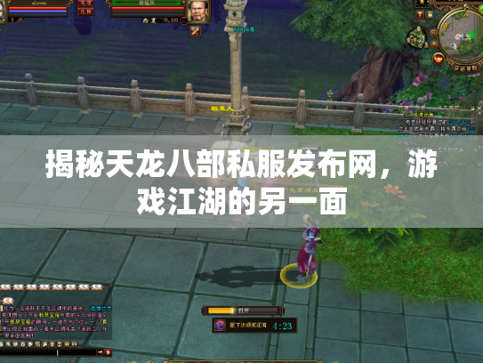 揭秘天龙八部私服发布网，游戏江湖的另一面