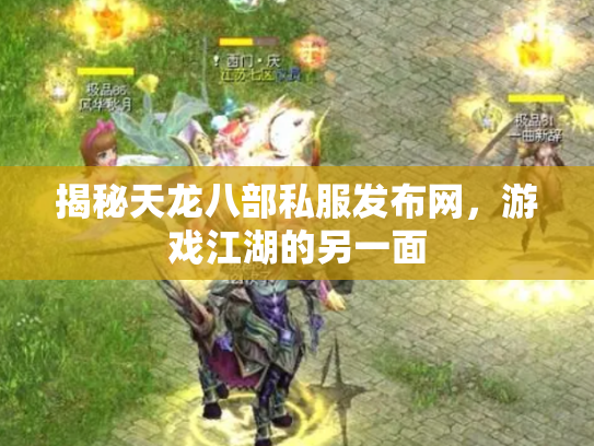 揭秘天龙八部私服发布网，游戏江湖的另一面