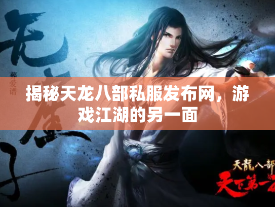 揭秘天龙八部私服发布网，游戏江湖的另一面