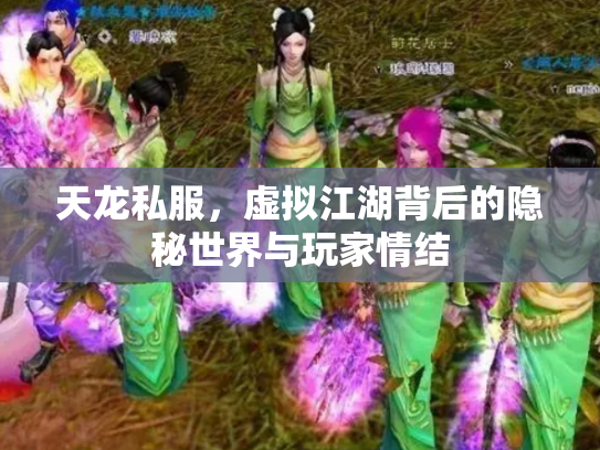 天龙私服，虚拟江湖背后的隐秘世界与玩家情结