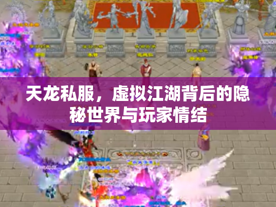 天龙私服，虚拟江湖背后的隐秘世界与玩家情结