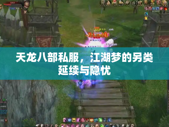 天龙八部私服，江湖梦的另类延续与隐忧