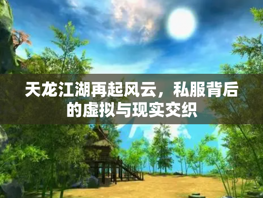天龙江湖再起风云，私服背后的虚拟与现实交织