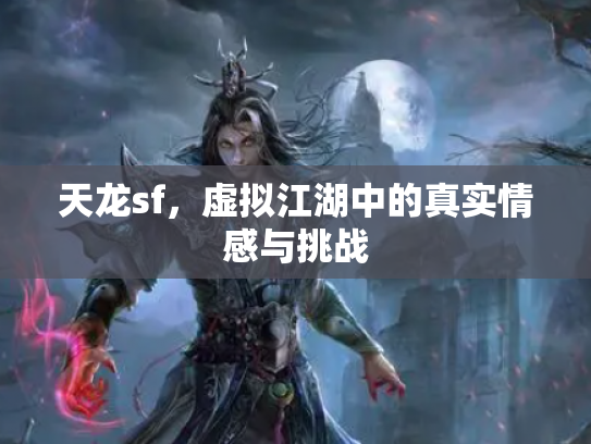 天龙sf，虚拟江湖中的真实情感与挑战
