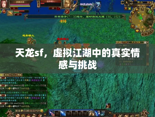 天龙sf，虚拟江湖中的真实情感与挑战