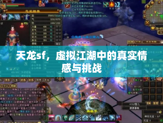 天龙sf，虚拟江湖中的真实情感与挑战