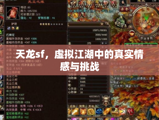 天龙sf，虚拟江湖中的真实情感与挑战