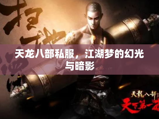 天龙八部私服，江湖梦的幻光与暗影