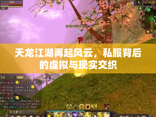 天龙江湖再起风云，私服背后的虚拟与现实交织