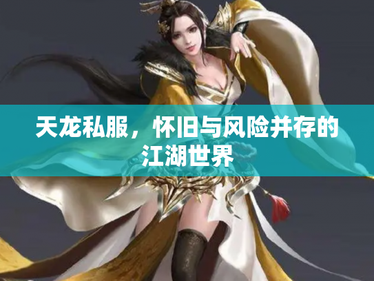 天龙私服，怀旧与风险并存的江湖世界