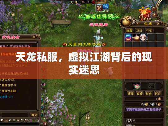 天龙私服，虚拟江湖背后的现实迷思