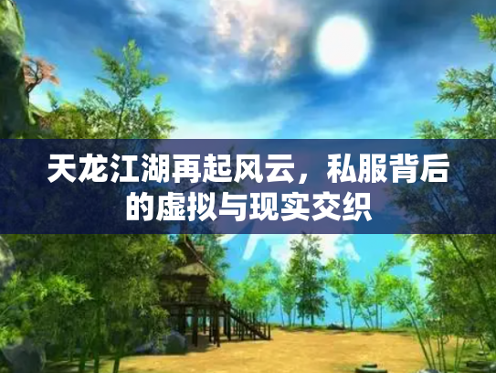 天龙江湖再起风云，私服背后的虚拟与现实交织